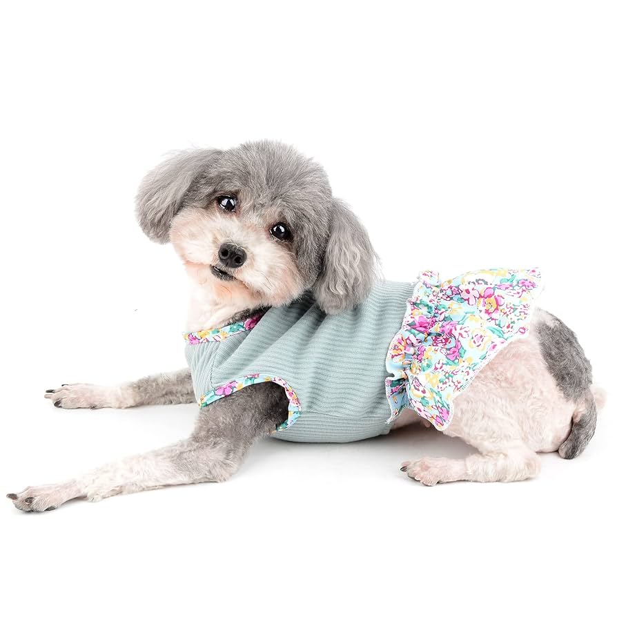 Amazon | RANPHY 犬服 春夏 女の子ワンピース 小型犬 お姫様